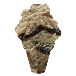 mocha-almond-ice-cream